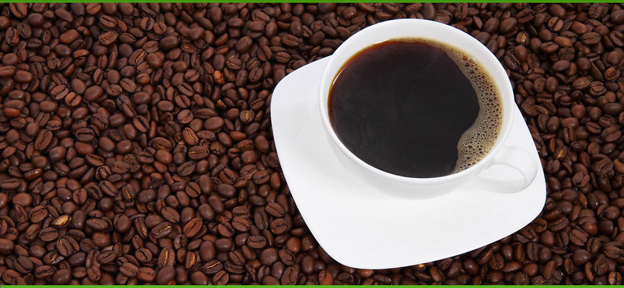 coffee-as-fertiliser